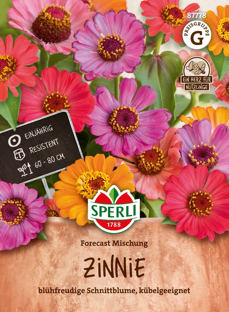 SPERLI Zinniensamen Forecast 40 Pflanzen