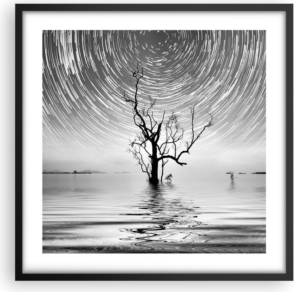 Gerahmtes Poster - Schwarzer Rahmen - Schwarzweiß Baum See - 50x50 cm - Wand Bild - Wanddeko - Wandbilder - Kunstposter - Wandposter - Bilderrahme...