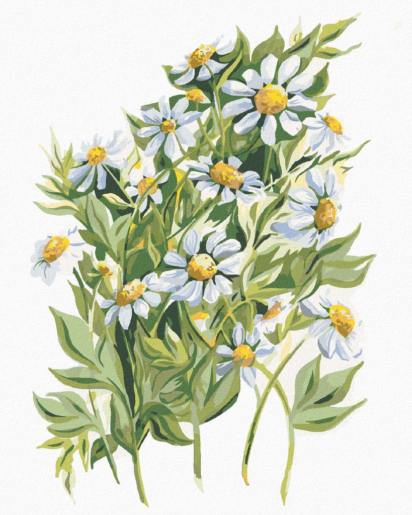 Zuty - Malen nach Zahlen - MARGERITEN (ALEXANDRIA GILBERT), 40x50 cm, ohne Keilrahmen