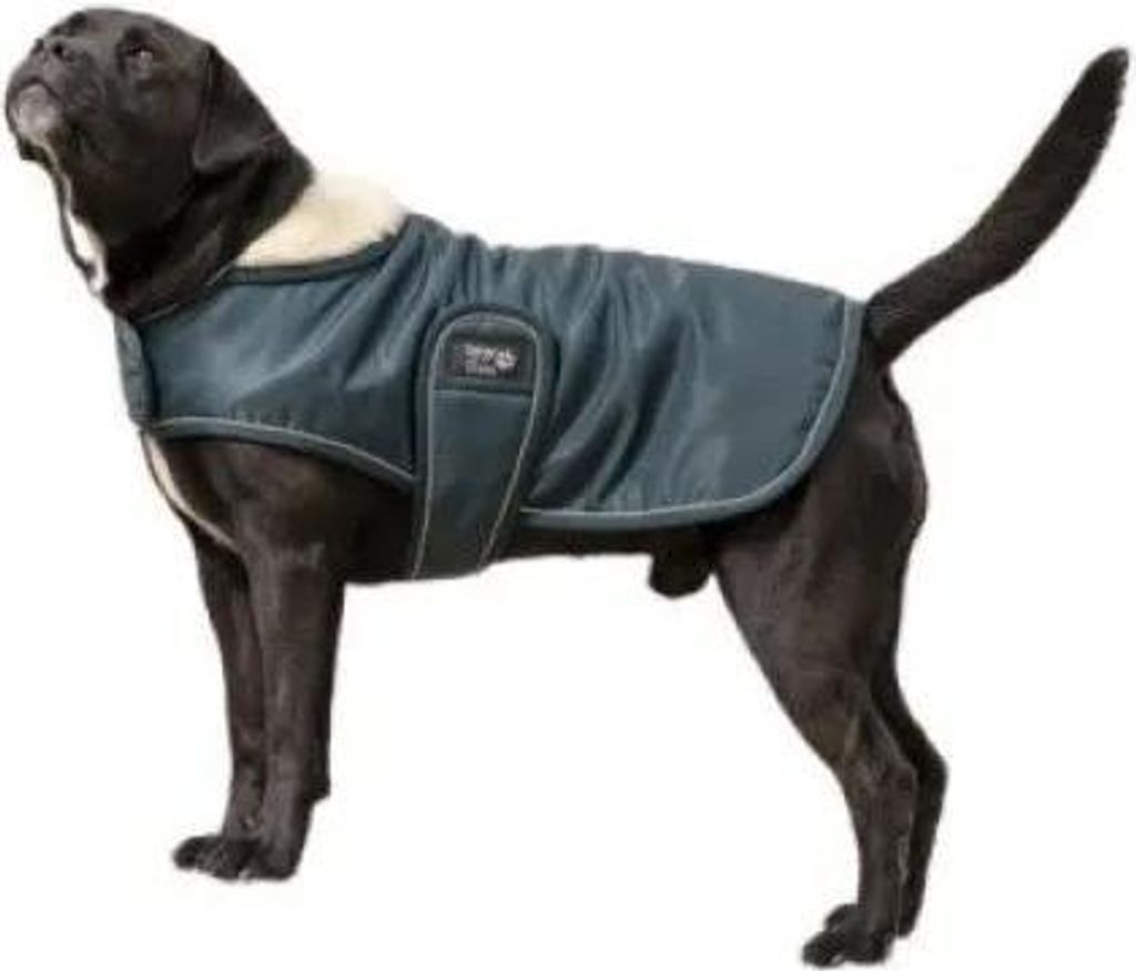Diego & Louna Teddy Hundejacke Grün 41 cm Grün 41 cm