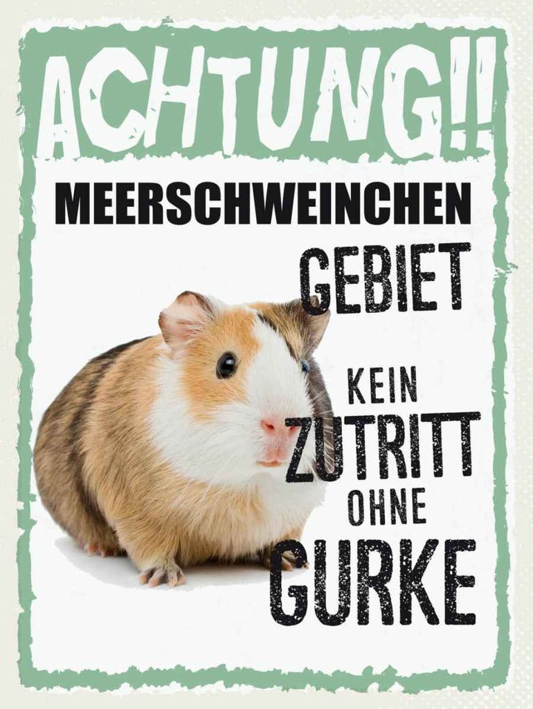 vianmo Holzschild 40x30 cm Tiere Achtung Meerschweinchen Tier Haustier