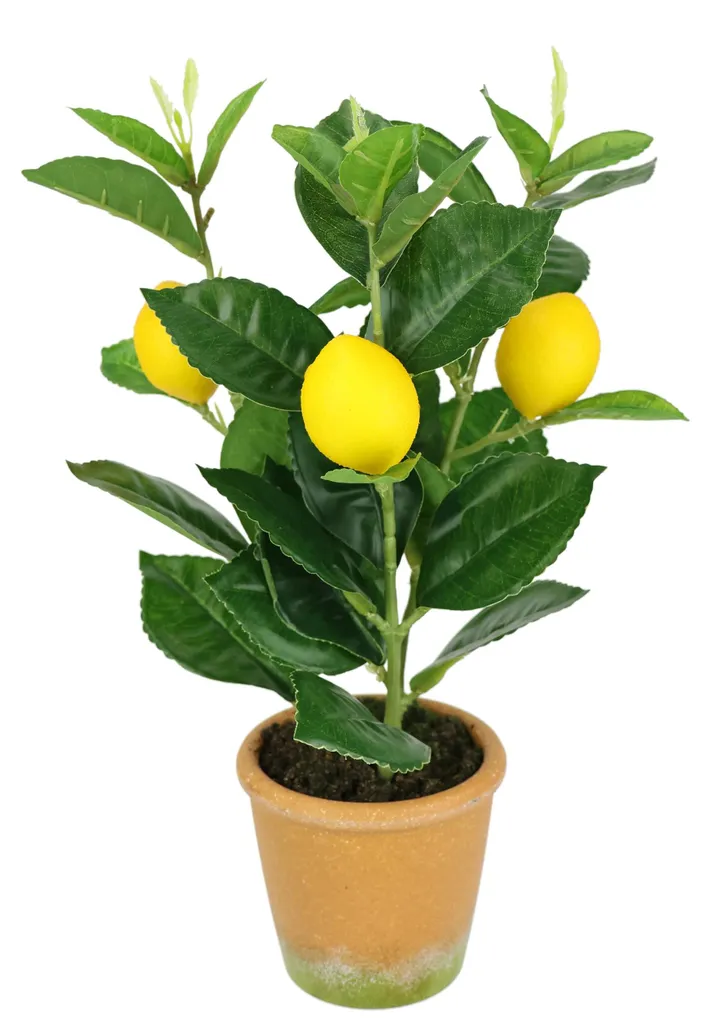 Arbre fruitier artificiel pour bureau - Mini citronnier 30cm déco verte