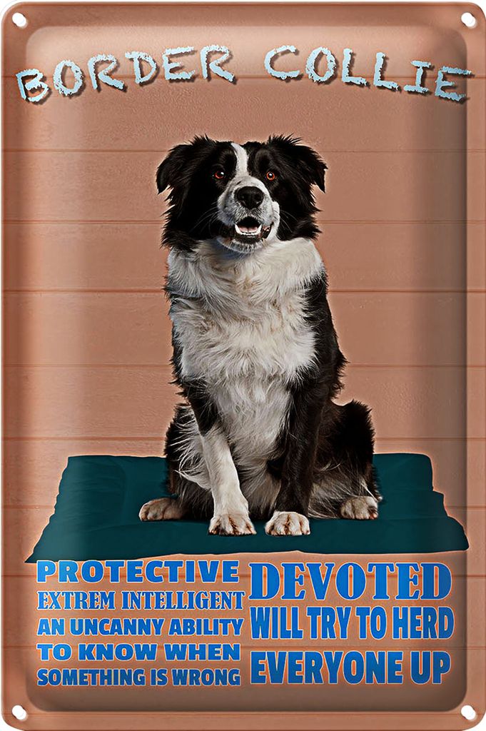 Blechschild Spruch 18x12cm Border Collie Hund protective Produktbild 