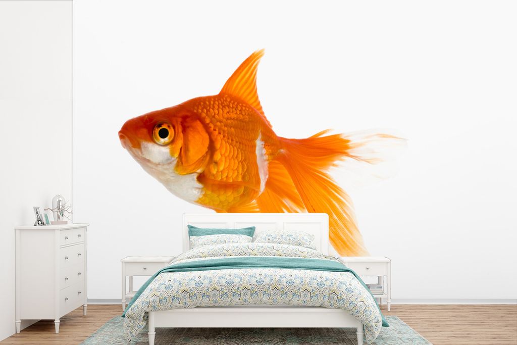 MuchoWow Fototapete für Wohnzimmer oder Schlafzimmer Wandtapete Vinyl Motivtapete Goldfisch - Fisch - Weiß - 600x400 cm - Vinyltapeten