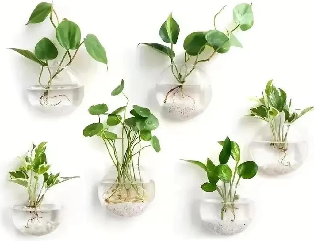 Terrario Parete Idroponico 8pz - Vaso Vetro Design Minimal Moderno