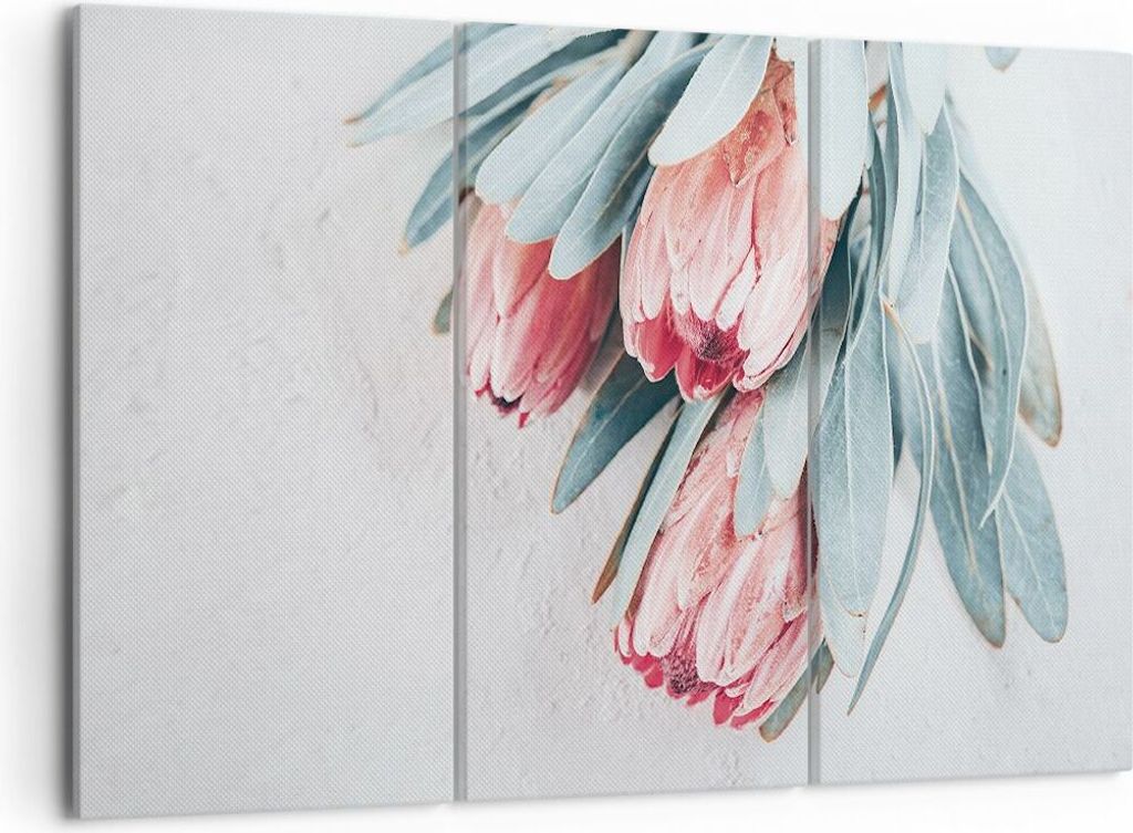 Bild auf Leinwand - Leinwandbild - 3 Teile - Blume Eukalyptus Australier - 105x70cm - Wand Bild - Wanddeko - Wandbilder - Leinwanddruck - Bilder - ...