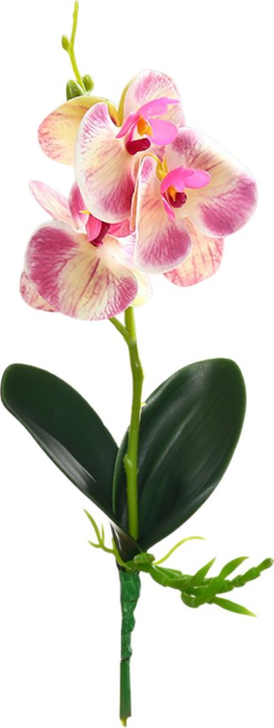 künstliche Orchidee Nichtverfasst nicht verdorrt, leichte Pflege lebendige dekorative dekorative Mehrzweck-Klare Textur Miniatur Künstliche Blume...