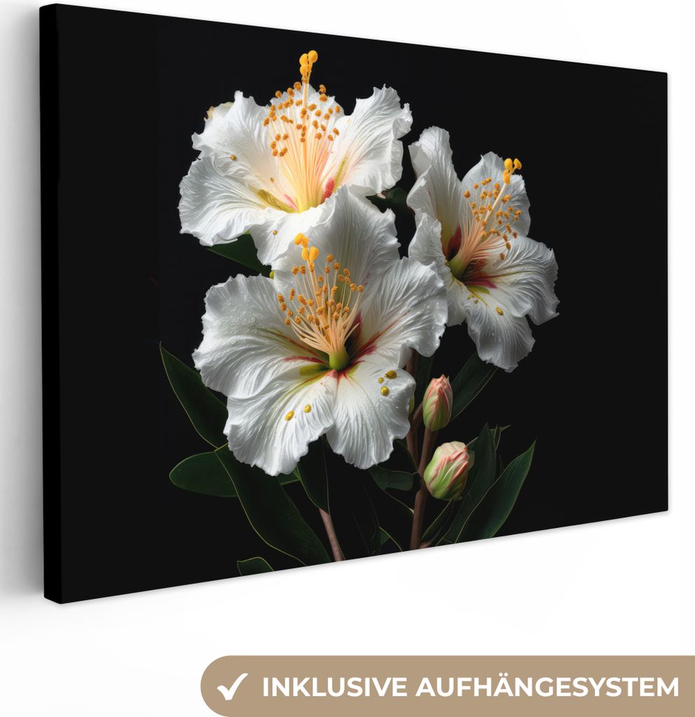 OneMillionCanvasses - Leinwandbilder - 150x100 cm, Blumen - Weiß - Hibiskus - Natur - Schwarz, Wandbilder Kunstdruck Wanddekoration - Foto auf L...