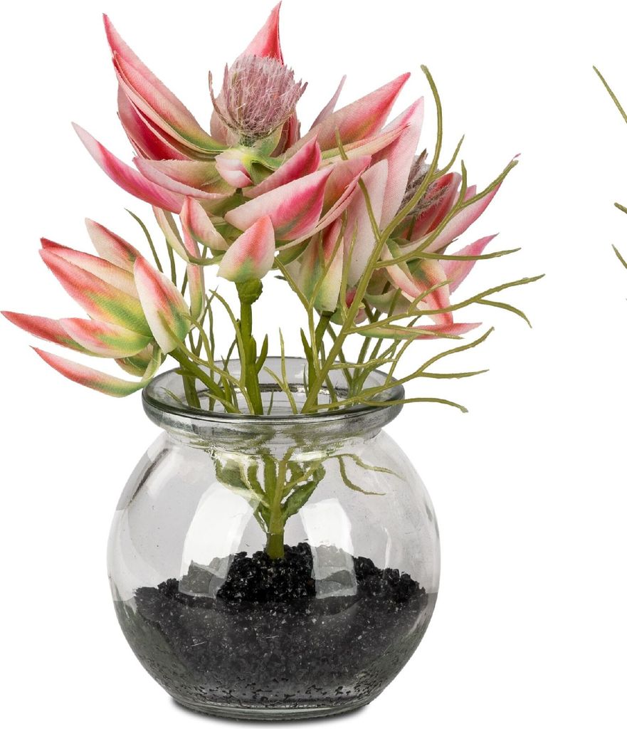 Tischdeko Distelzweig rosa in Glasvase H. 16cm Formano Kunstblumen F25