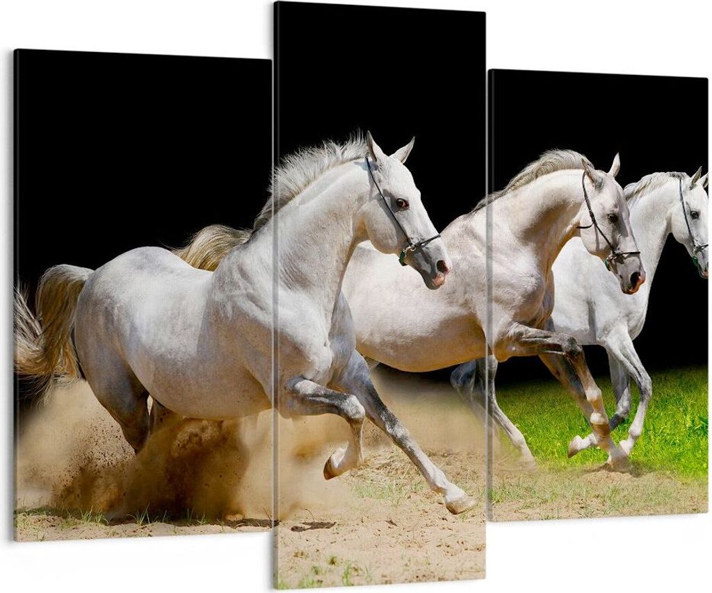 Bild auf Leinwand - Leinwandbild - Pferde Sand Gras - 130x100cm - Wand Bild - Wanddeko - Leinwanddruck - Bilder - Kunstdruck - Wanddekoration - Lei...