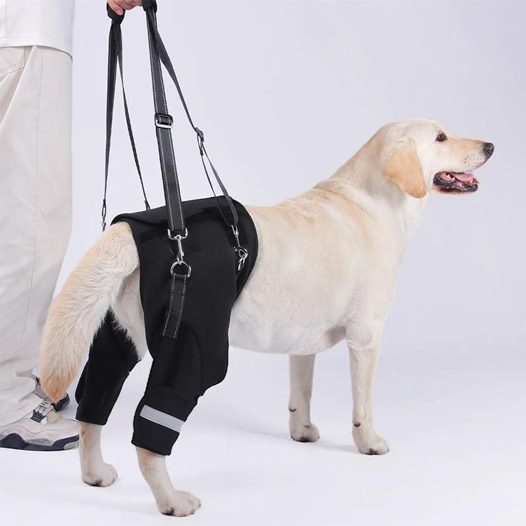 Supporto Posteriore Cane INF Taglia M - Riabilitazione e Post-Op - 2