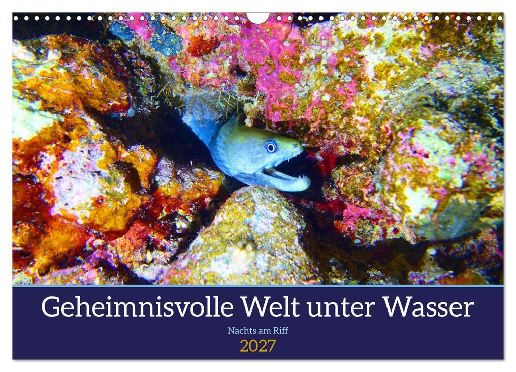 Geheimnisvolle Welt unter Wasser - Nachts am Riff (Wandkalender 2027 DIN A3 quer), CALVENDO Monatskalender