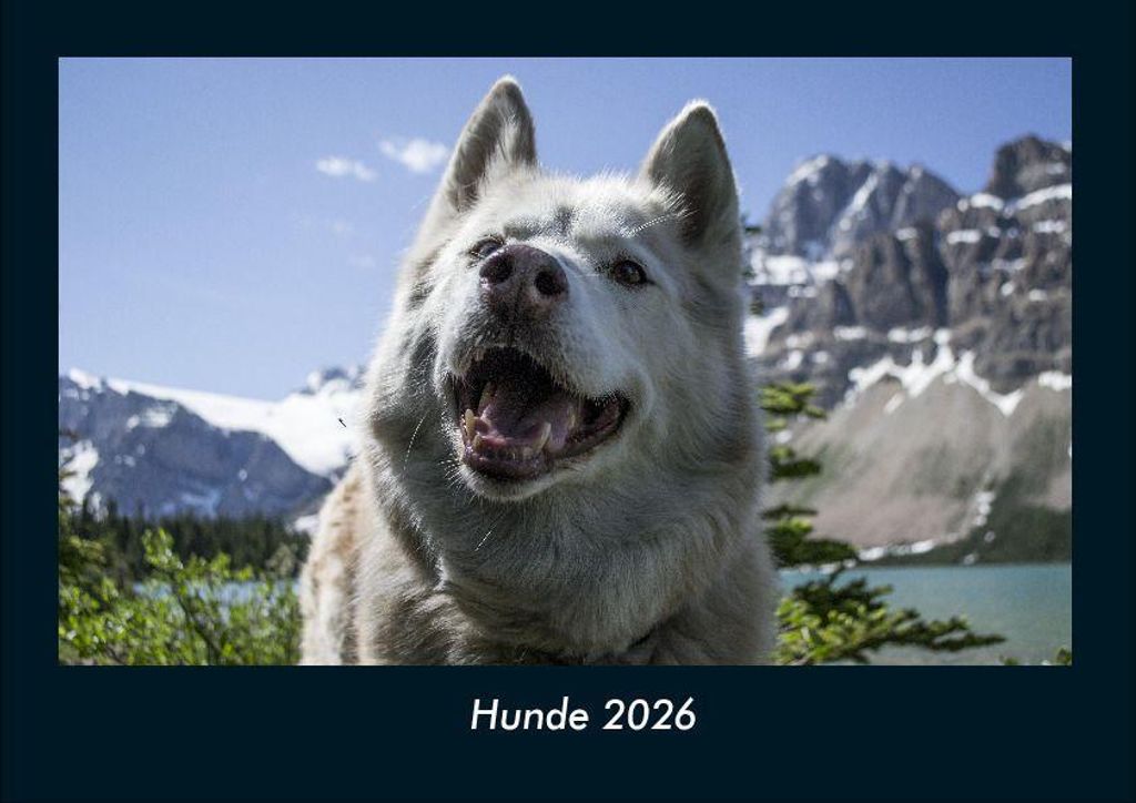 Hunde 2026 Fotokalender - Querformat DIN A4, Monatskalender mit Bild-Motiven von Haustieren, Bauernhof, wilden Tieren und Raubtieren