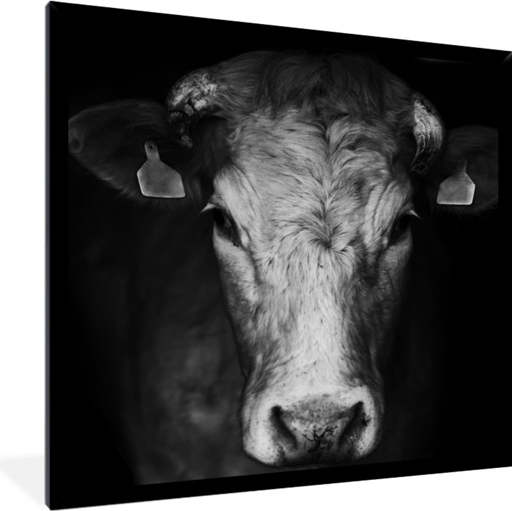 MuchoWow Gerahmtes Poster Tiere - Kuh - Schwarz - Weiß - Kuhkopf 40x40 cm - Poster mit Schwarzem Bilderrahmen Wandposter Rahmen Foto Bilder - Mi...