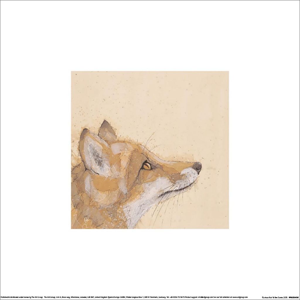 Bev Davies - bedruckt "Curious", Fuchs PM12050 (30 cm x 30 cm) (Vielfältige Tarnung)