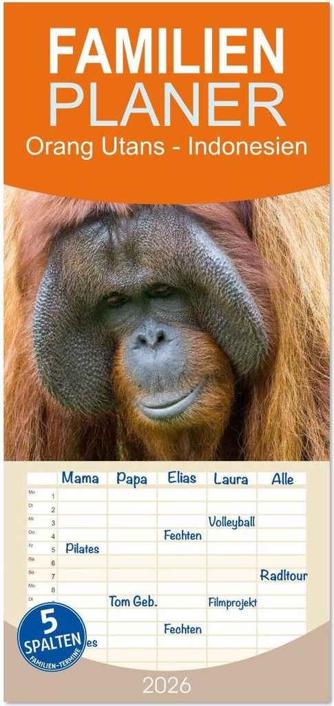 Familienplaner 2026 - Orang Utans - Indonesien mit 5 Spalten (Wandkalender, 21 x 45 cm) CALVENDO