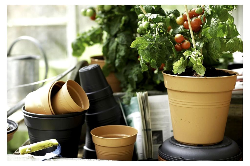 Green Basics Anzuchttopf 24 - Growpot für Züchten und Ernten - Ø 24.0 x H 22.1 cm - Grün/Leaf Green