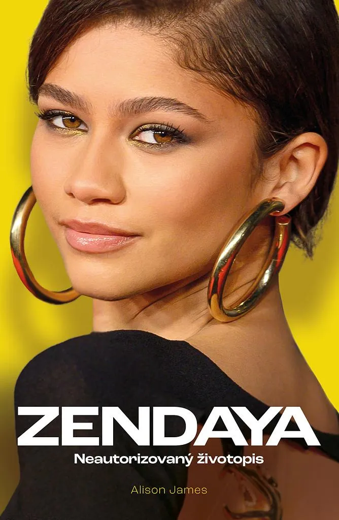 Livre Zendaya biographie non autorisée par James Alison récit exclusif