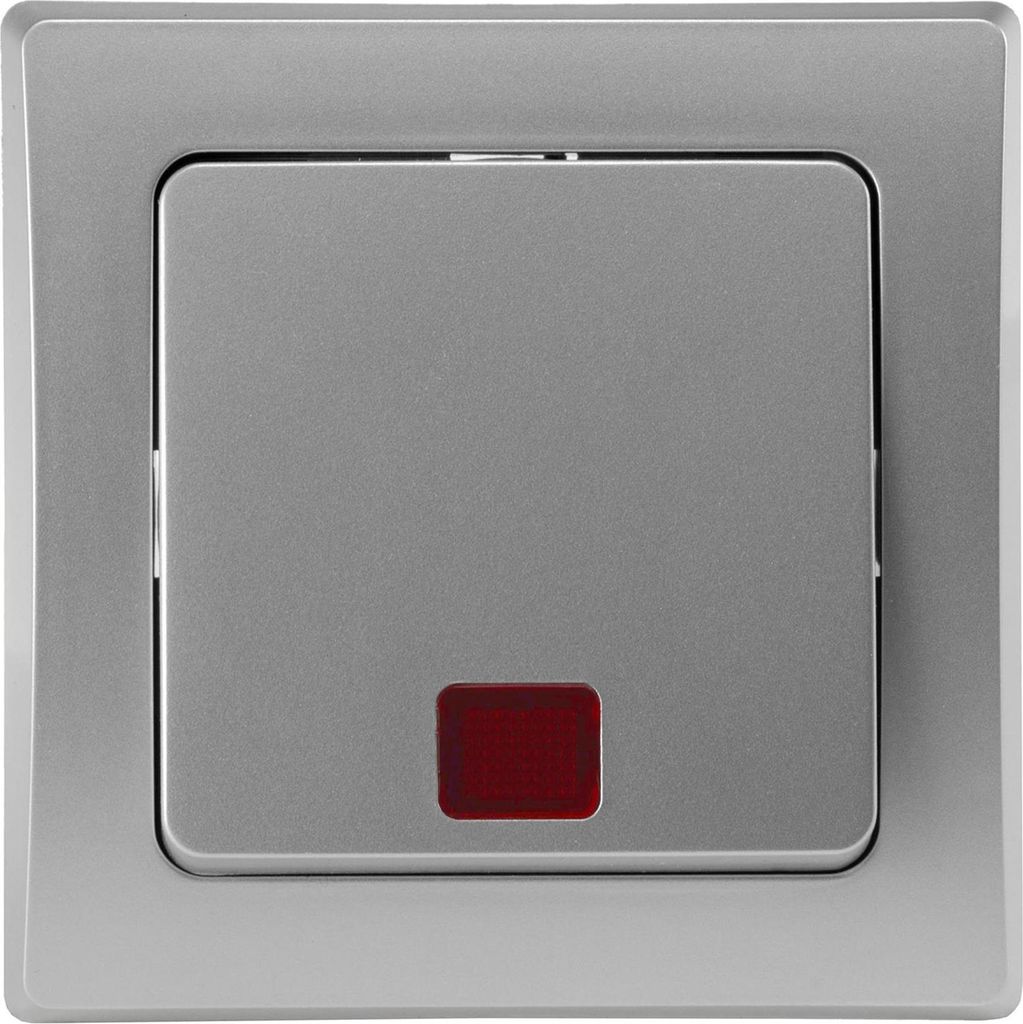 DELPHI Kontroll-Schalter mit Beleuchtung Silber Grau Produktbild 