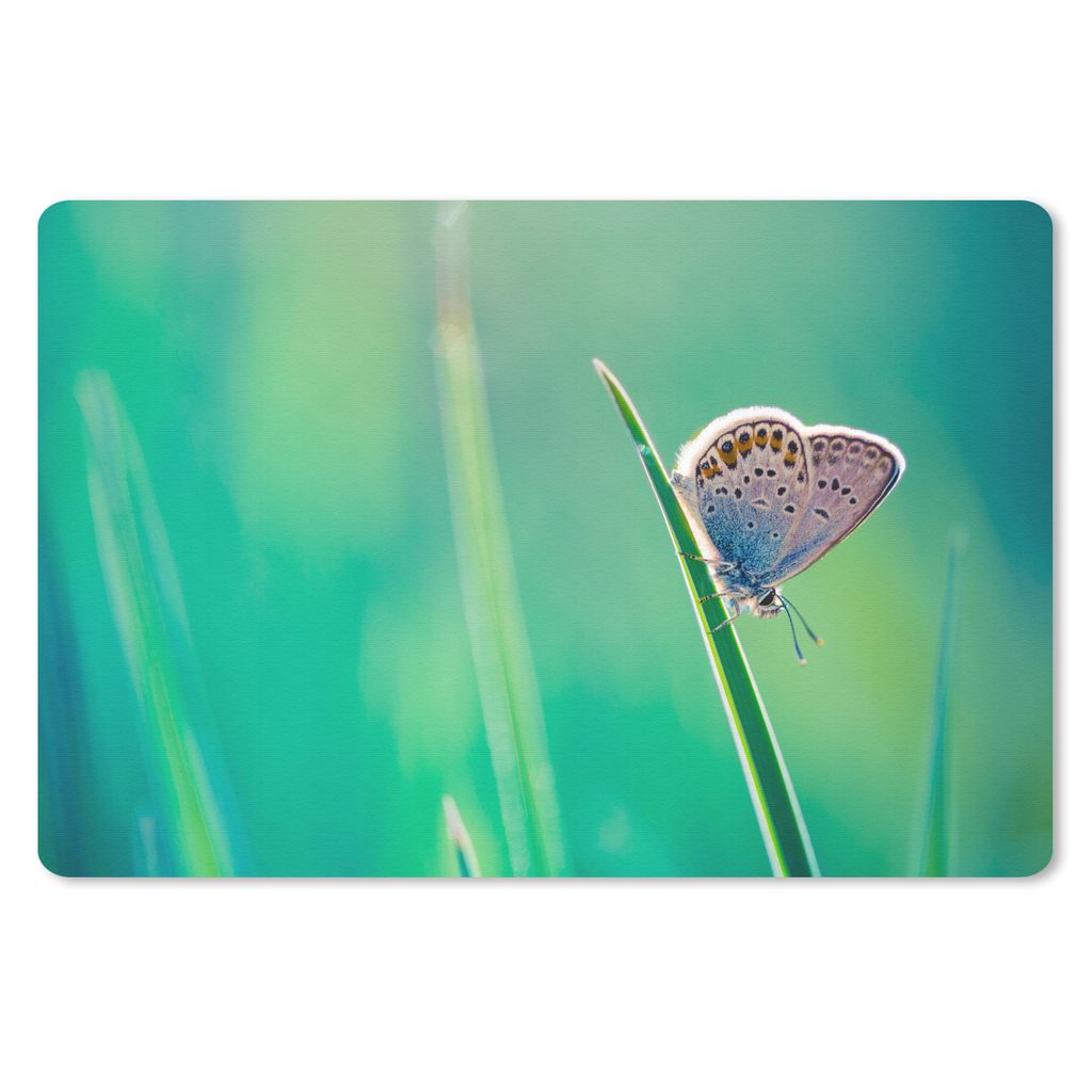 MuchoWow Schreibtischunterlage Nahaufnahme Schmetterling in der Sonne 60x40 cm - XXL Mauspad - Großes Mauspad