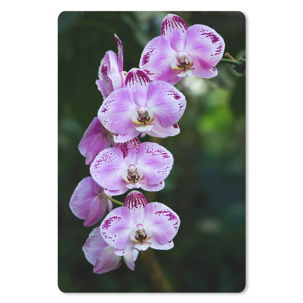 MuchoWow Mauspad Mousepad Blühende Orchideen 18x27 cm - Mousepads - Maus Mat - Pad - Mausunterlage
