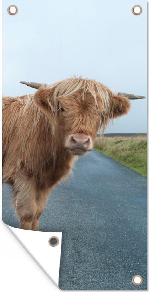 MuchoWow 40x80 cm Outdoor-Poster Gartendeko Sichtschutz Garten Poster für den Garten Scottish Highlander - Straße - Gras