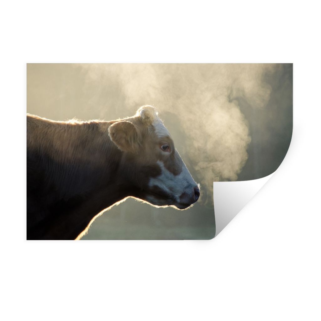 MuchoWow Wandtattoo Wandsticker Wandaufkleber Kuh - Nebel - Sonne 30x20 cm Selbstklebend und Repositionierbar - Wierderverwendbar - Selbstklebend