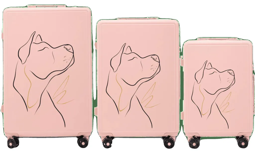 Valises anti-choc rose en ABS : finissez-en avec les bagages cassés !