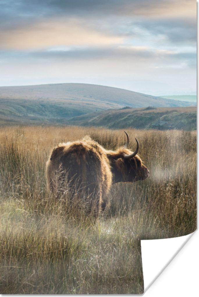 MuchoWow Poster Schottische Highlander - Nebel - Gras 120x180 cm - Kunstposter