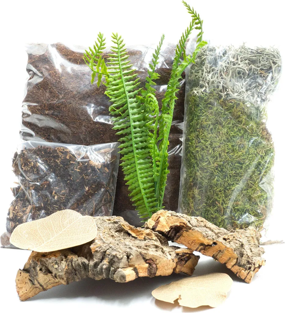 Kit Spider Maker L : Solution pour le Tissage Difficile des Grandes Araignées