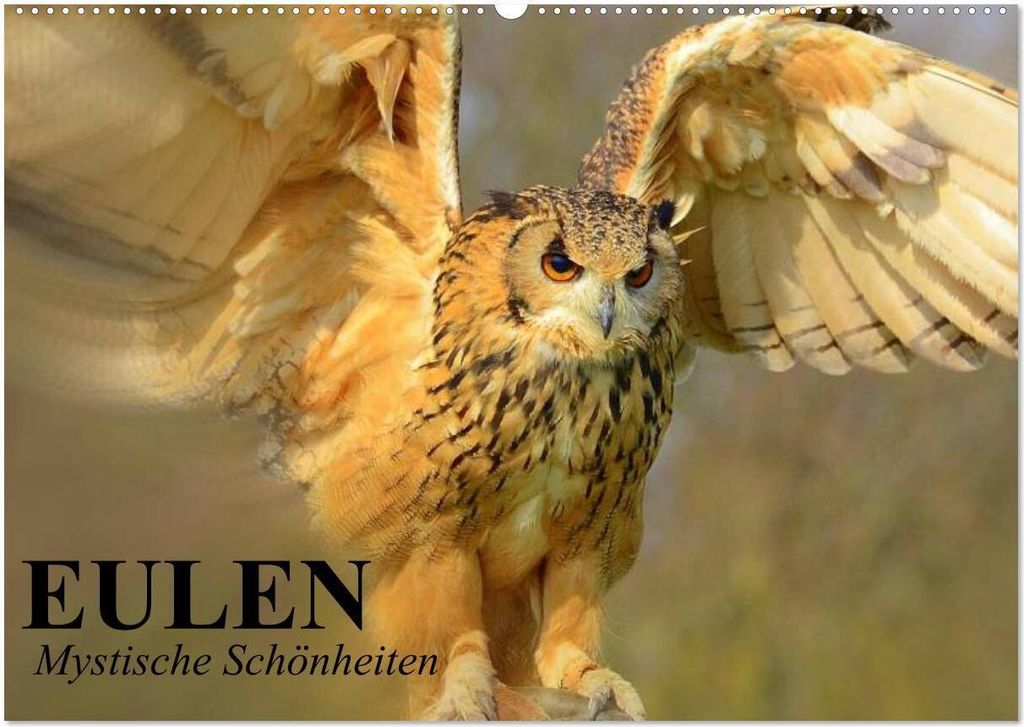 Eulen. Mystische Schönheiten (Wandkalender 2026 DIN A2 quer), CALVENDO Monatskalender