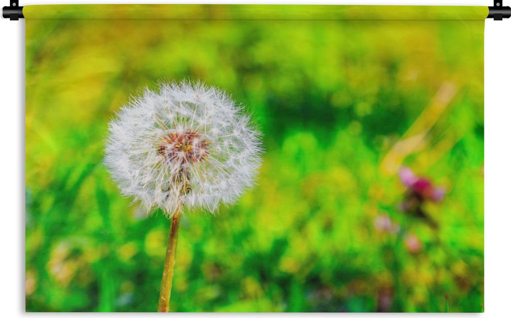 MuchoWow Wandteppich Wandbehang Löwenzahn - Gras - Blume 60x40 cm Tapisserie Dekoration Wandtuch - Wanddekorationen