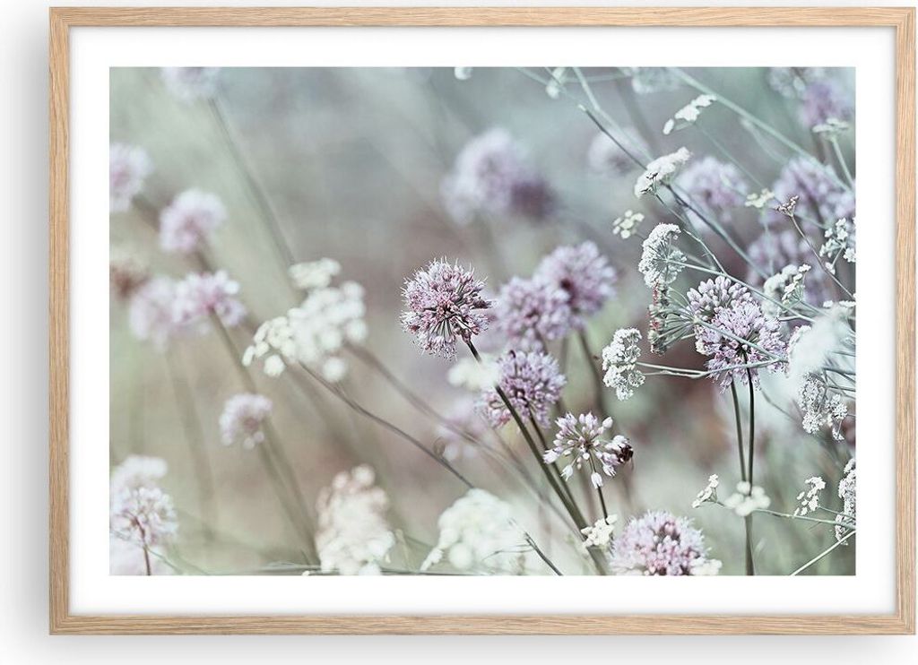 Gerahmtes Poster - Rahmen in heller Eiche - Wiese Knoblauch Blume - 70x50 cm - Wand Bild - Wanddeko - Wandbilder - Wandposter - Bilderrahmen - Bild...
