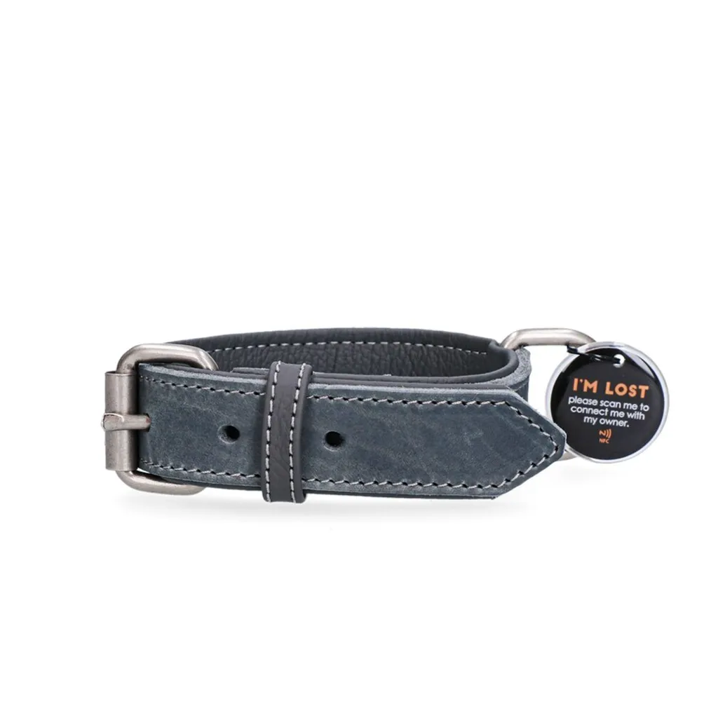 Collier pour chien en cuir véritable gris Spotted ! Pro 40cm Confort