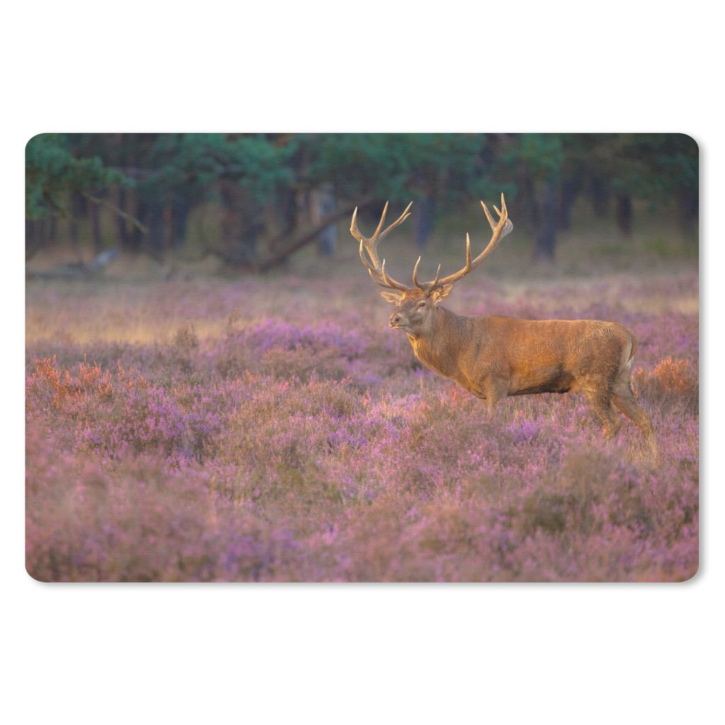 MuchoWow Mauspad Mousepad Hirsche - Niederlande - Blumen - Veluwe 27x18 cm - Mousepads - Maus Mat - Pad - Mausunterlage - Büroartikel - Desk Matten