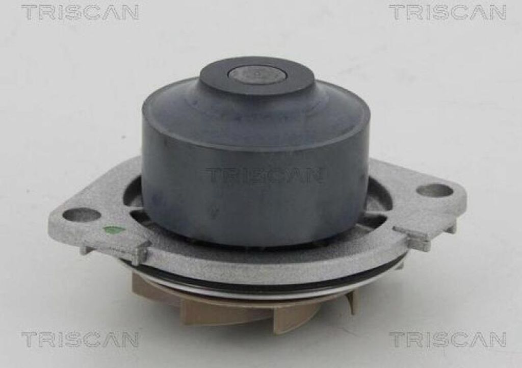 TRISCAN Wasserpumpe 8600 15013