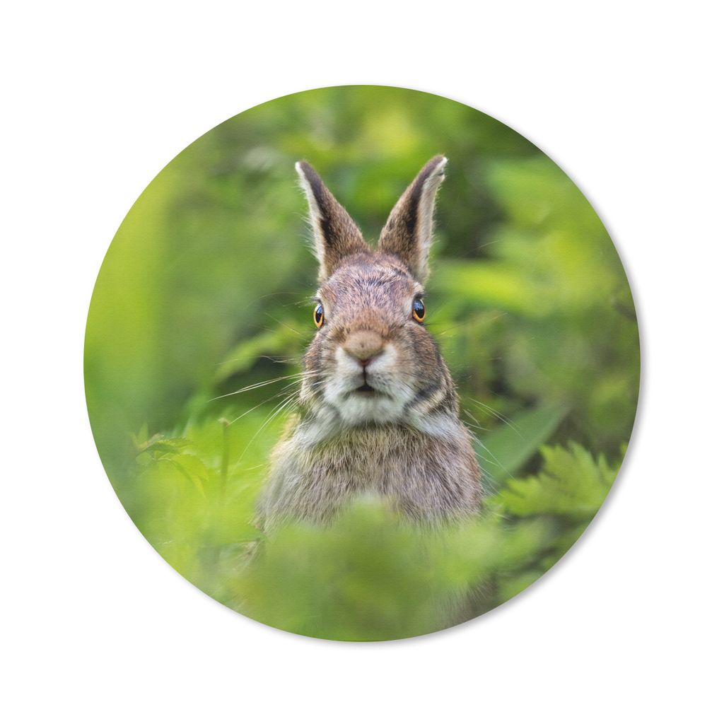 MuchoWow Mauspad Mousepad Kaninchen - Gras - Grün 50x50 cm - Mousepads - Maus Mat - Pad - Mausunterlage - Vinyl