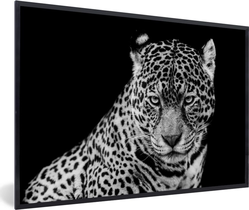 MuchoWow Gerahmtes Poster Leopard - Tiere - Schwarz - Weiß - Porträt 90x60 cm - Poster mit Schwarzem Bilderrahmen Wandposter Rahmen Foto Bilder...