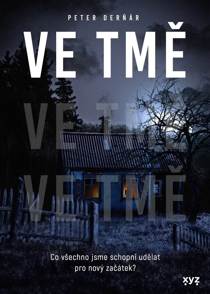Ve tmě par Peter Derňár - Roman noir slovaque pour amateurs de suspense