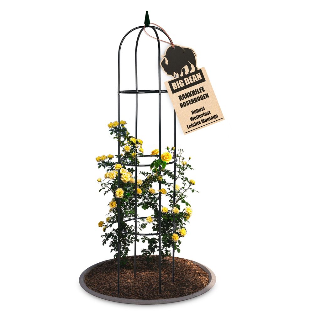 BigDean Rankgitter Metall Rosen Spalier 1,93 hohe Rankhilfe Produktbild 