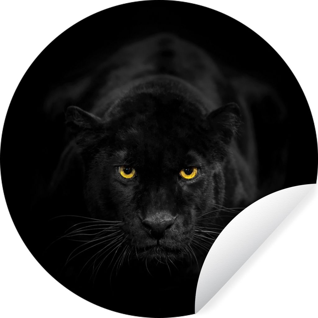 MuchoWow Runde Wandtattoo - Wandsticker Tapete Aufkleber Panther - Schwarz - Gelb Ø 50 cm Selbstklebend und Repositionierbar - Wandaufkleber - K...