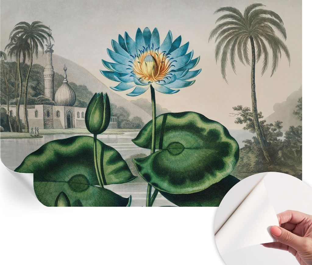 Selbstklebende Wandtapete - Dekorative Tapete für Wohnzimmer - Klebefolie für Wandbilder - Tapetenfolie für Wanddekoration - 152x104 cm - Exotis...