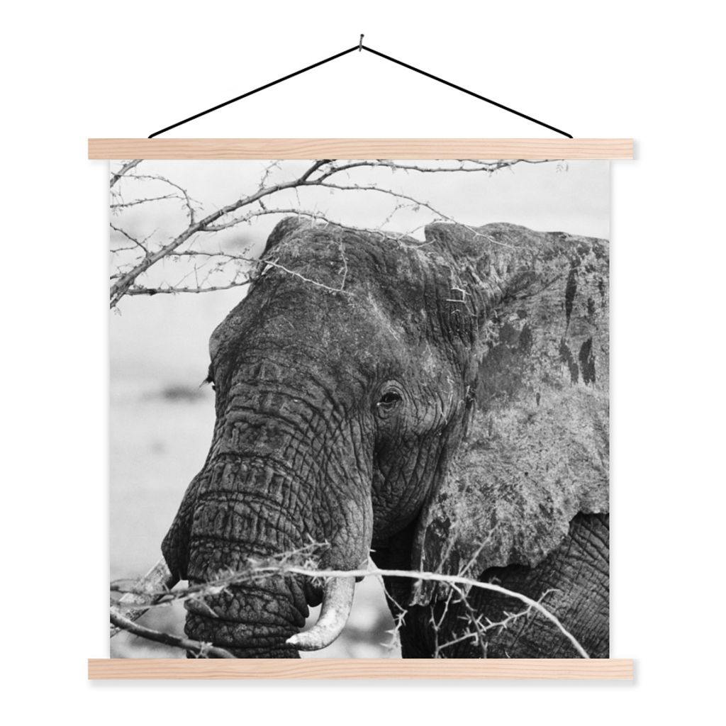 MuchoWow Textilposter Elefant - Tiere - Äste - Natur - Schwarz und weiß 40x40 cm mit holzfarbenen Rahmen - Posterleiste