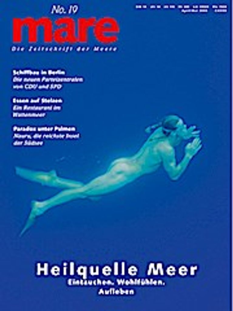 mare No. 19 / Heilquelle Meer