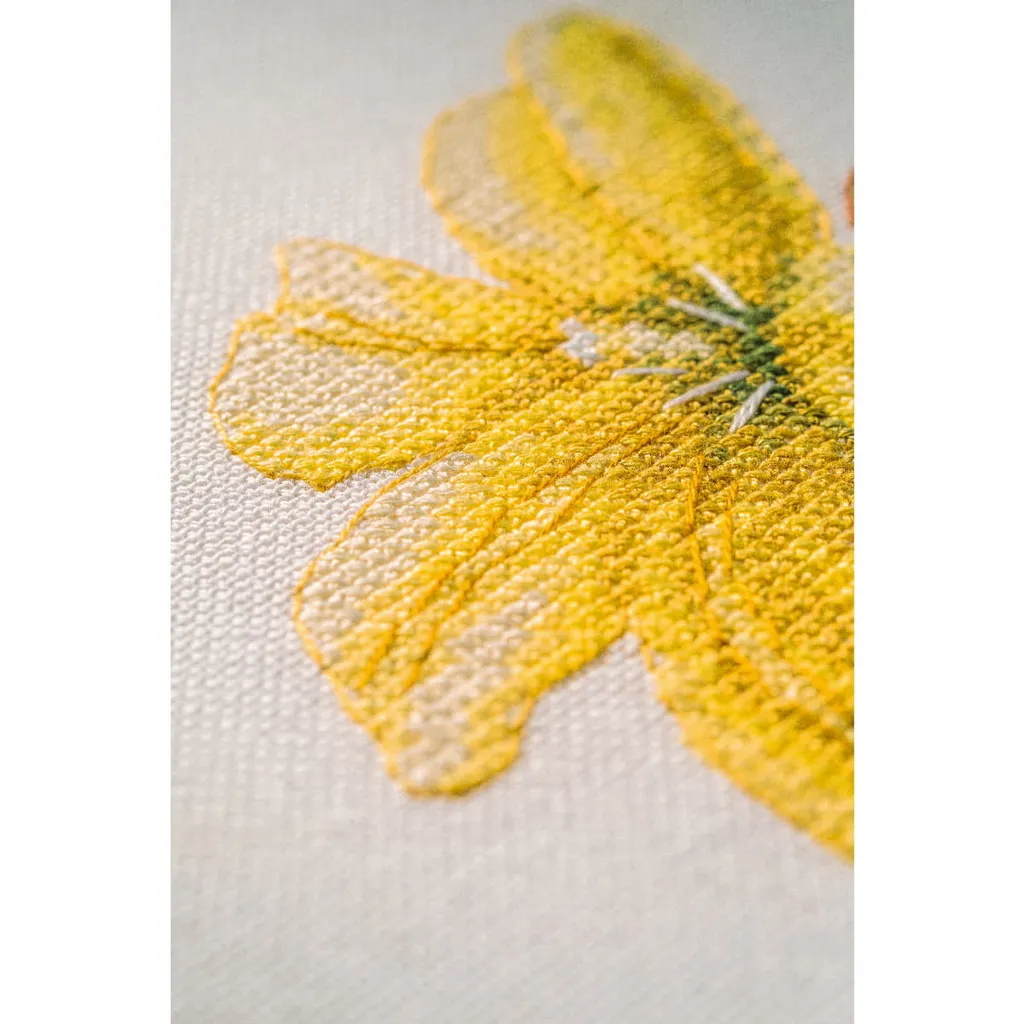 Kit Broderie Lanarte Tulipes Evenweave 28x37 cm Qualité Supérieure - 5