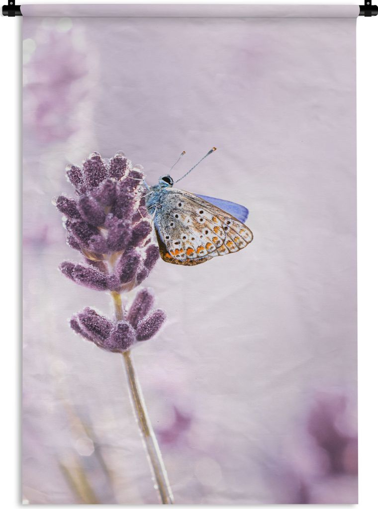 MuchoWow Wandteppich Wandbehang Lavendel - Schmetterling - Nahaufnahme - Lila 60x90 cm Tapisserie Dekoration Wandtuch - Foto-Teppich - Abwaschbar