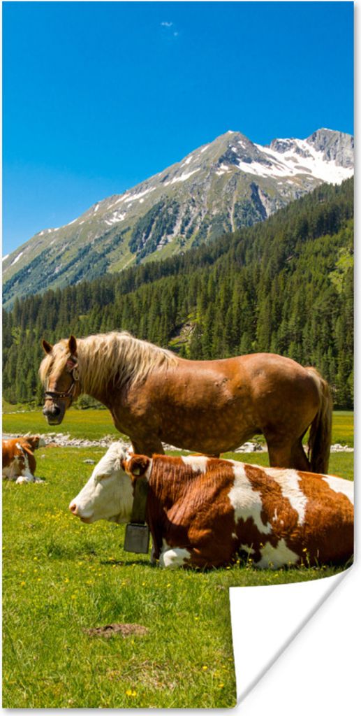 MuchoWow Poster Kühe - Pferde - Alpen 40x80 cm - Dekoration