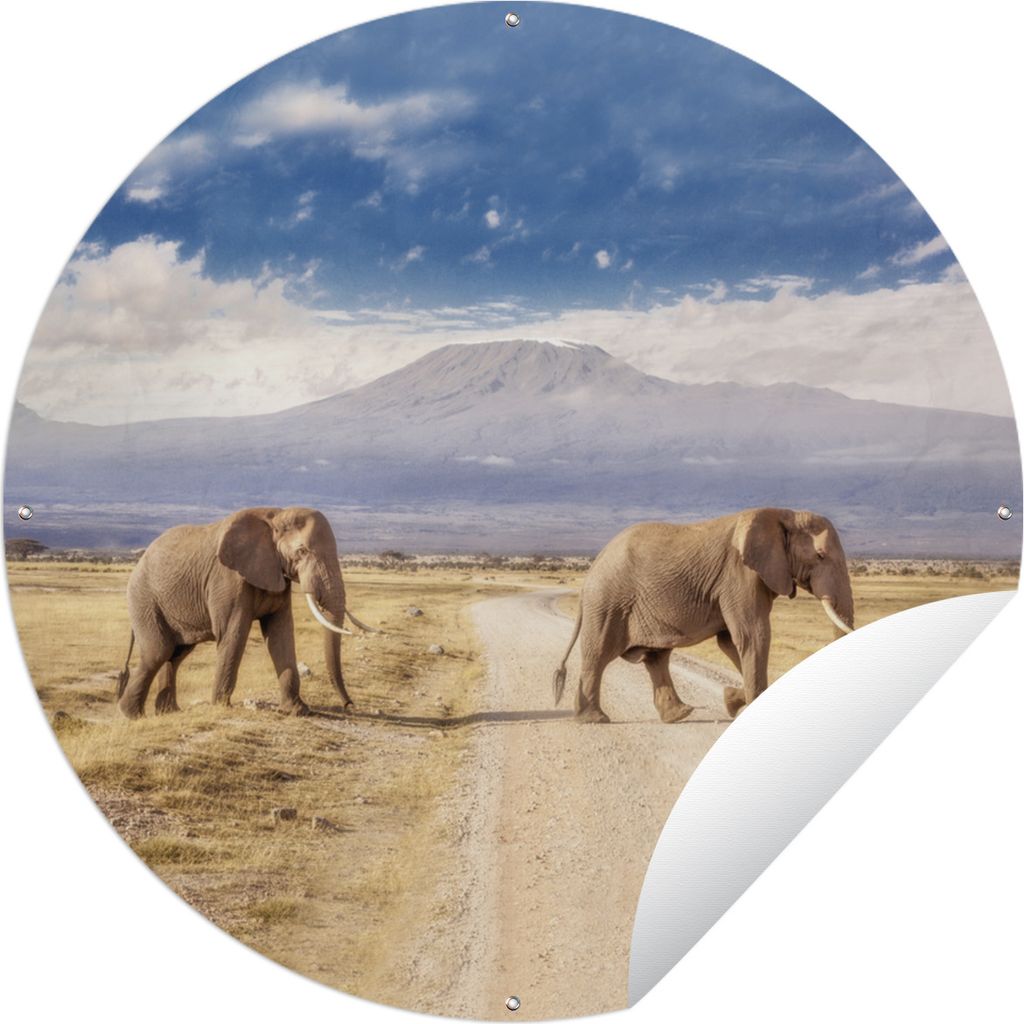MuchoWow Gartenposter Outdoor-Poster Rund Elefant - Wolke - Safari Ø 150 cm Gartendeko Rundes Poster draußen