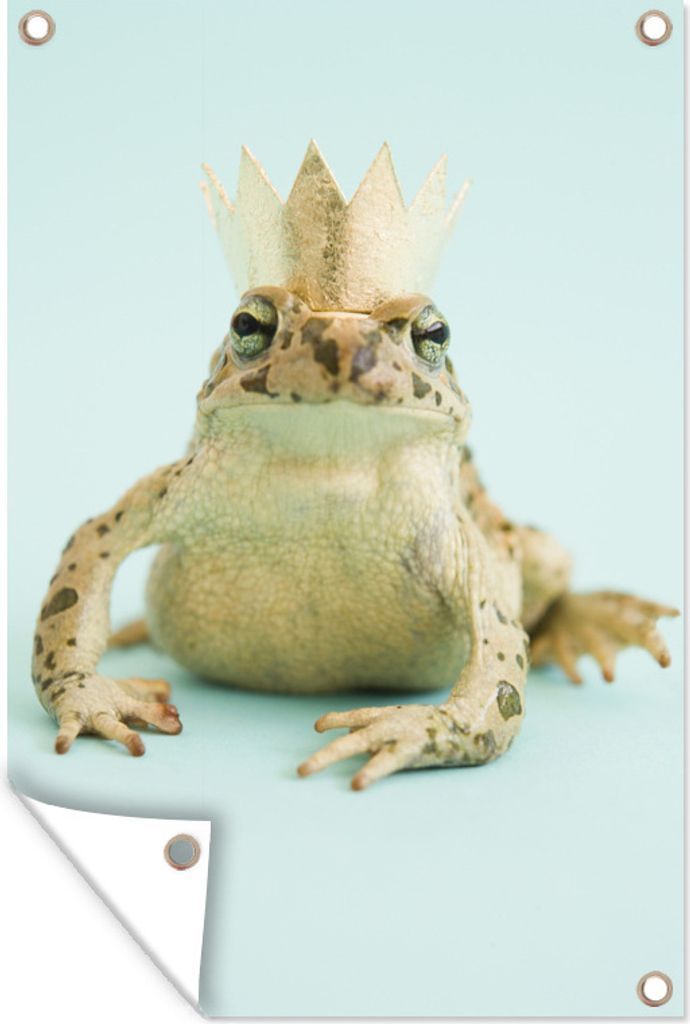 MuchoWow 80x120 cm Outdoor-Poster Gartendeko Sichtschutz Garten Poster für den Garten Frosch mit Krone