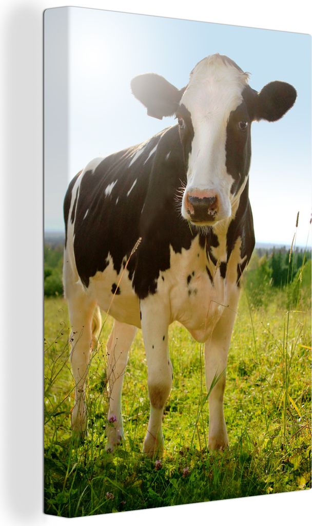 OneMillionCanvasses - Leinwandbilder - 90x140 cm, Kuh - Tiere - Makro - Sonne, Wandbilder Kunstdruck Wanddekoration - Wandschmucke - Schlafzimmer